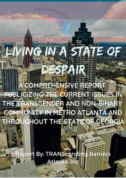 Survey Report Cover and TOC.png